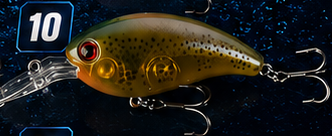 Crank Bait