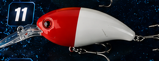 Crank Bait
