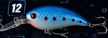 Crank Bait