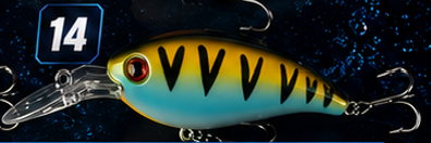 Crank Bait