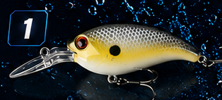 Crank Bait