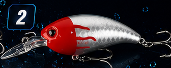 Crank Bait
