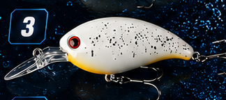 Crank Bait