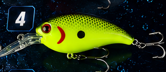 Crank Bait