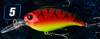 Crank Bait