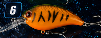 Crank Bait