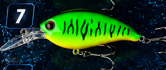 Crank Bait