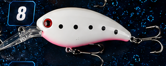 Crank Bait