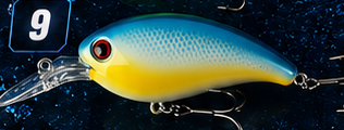 Crank Bait