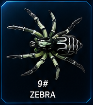 Spider Lure