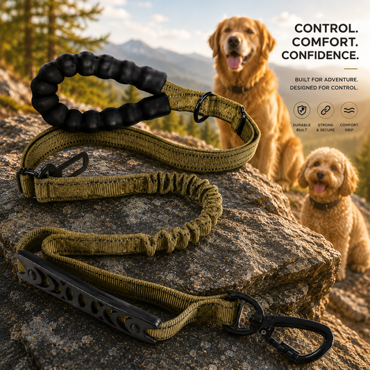 🐾 PawBuddy 4-in-1 Shock-Absorbing Dog Leash🐾